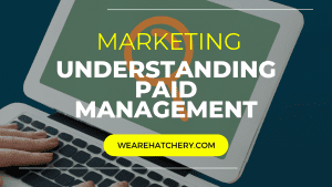 Paid Search Management