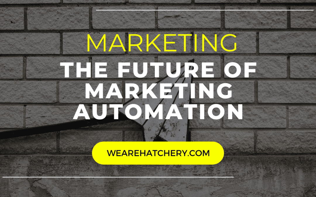 The Future of Marketing Automation: Marketing Hatchery’s Vision