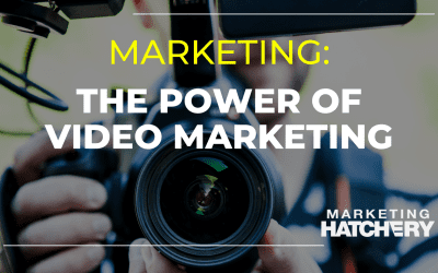 Unleash the Power of Video Marketing with Marketing Hatchery
