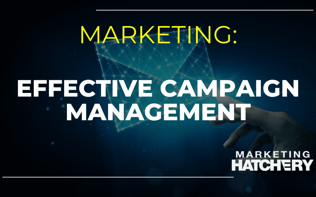 Effective Campaign Management