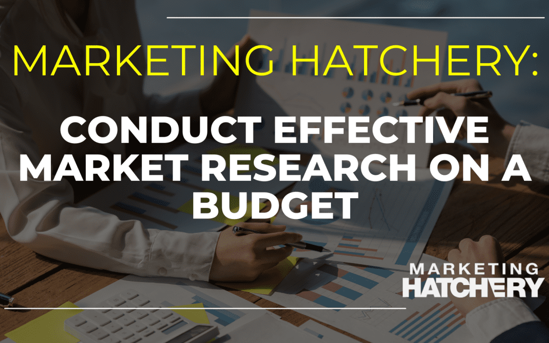 Conduct Effective Market Research on a Budget