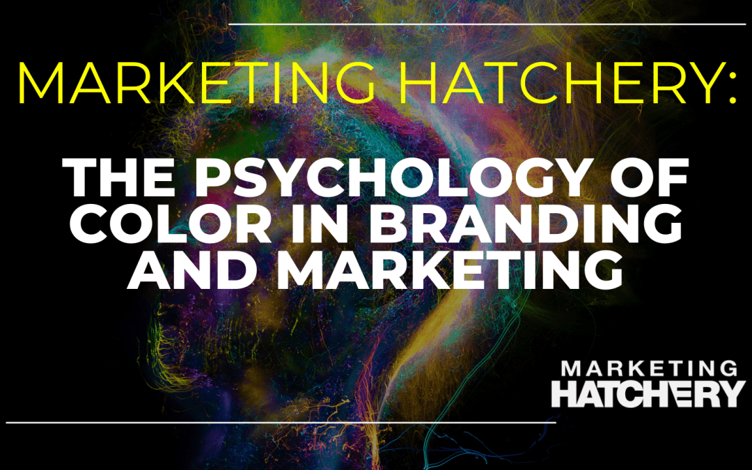 The Psychology of Color in Branding and Marketing