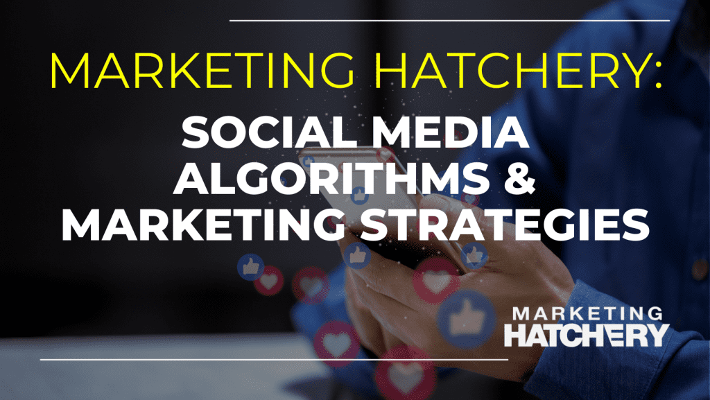 Social Media Algorithms & Marketing Strategies