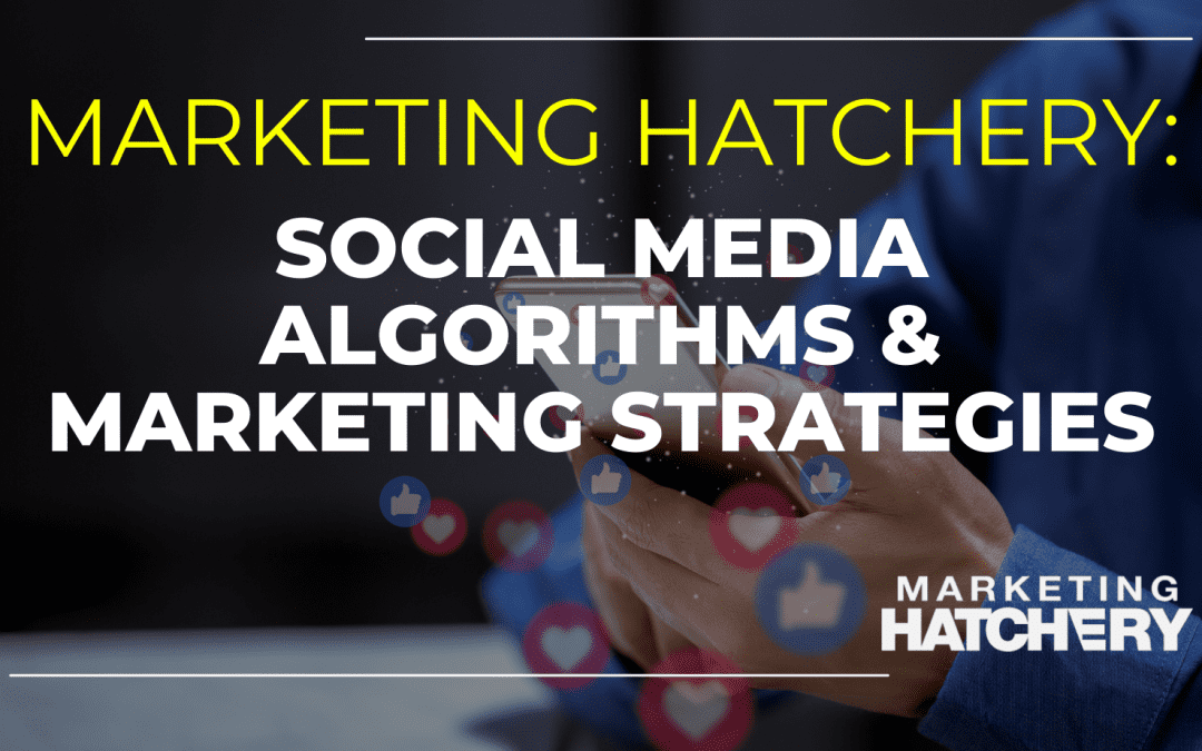 Social Media Algorithms & Marketing Strategies