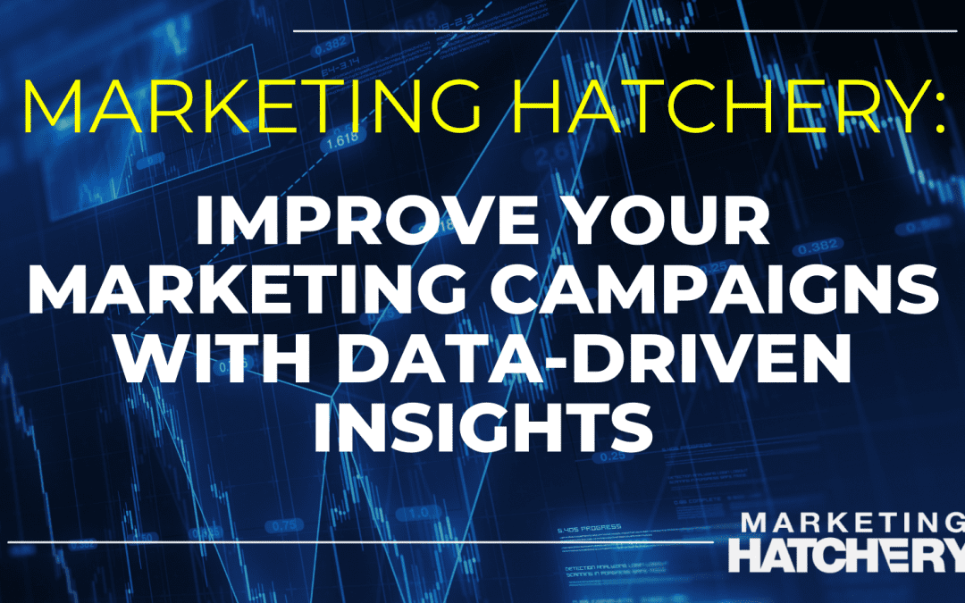 Use Data-Driven Insights to Improve Your Marketing Campaigns