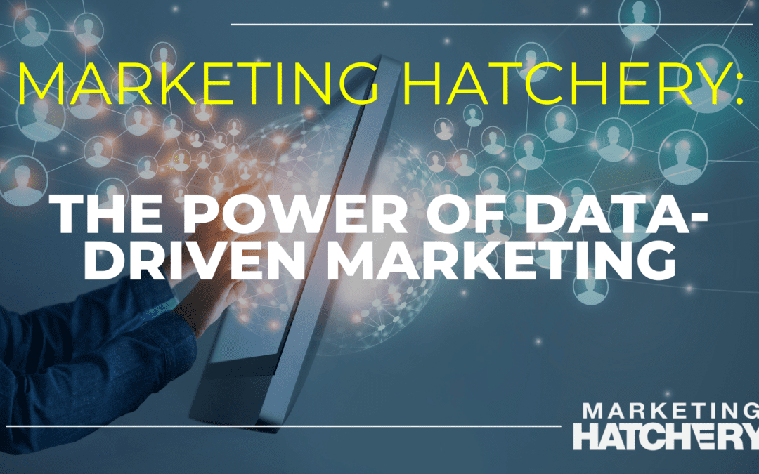 Data-Driven Marketing for Boosting Campaign Effectiveness and ROI